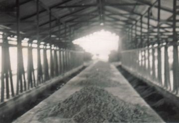 feedinglot.jpg