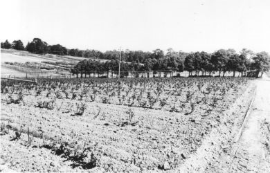 NatiFarm790OldNorthernRoad.jpg