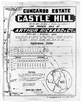 Gungaroo-Estate-1928.jpg