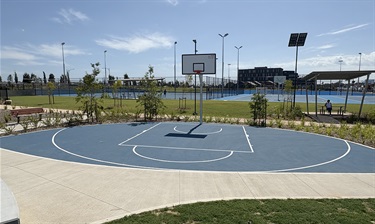 Half-Basketball Court